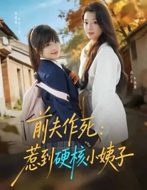 前夫作死：惹到硬核小姨子（62集全）韩佳芯＆韩露瑜-紫橙网创项目网