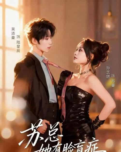 苏总她有脸盲症（25集全）吴添豪＆孙艺燃-紫橙网创项目网