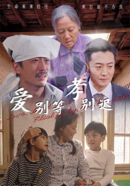 爱别等，孝别迟（56集全）张二宝＆周红梅 - 紫橙阁短剧