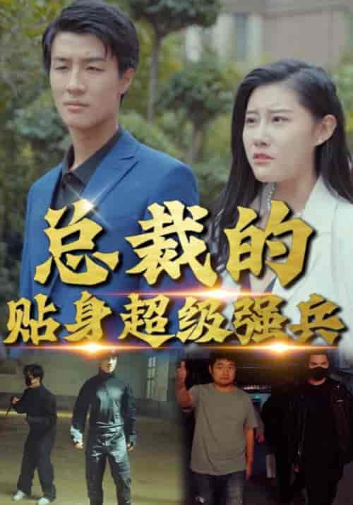 总裁的贴身超级强兵（95集全）叶凡＆沈玉冰-紫橙网创项目网