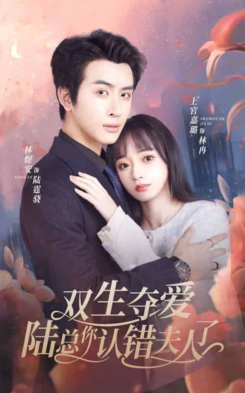 双生夺爱陆总你认错夫人了（94集） - 紫橙阁短剧