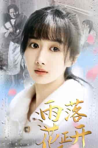 雨落花正开（62集）-紫橙网创项目网