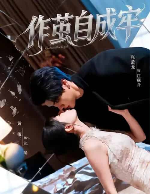 作茧自成牢（52集全）梦龙＆黄薇-紫橙网创项目网