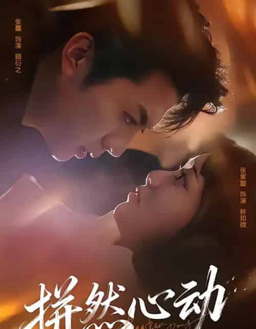 拼然心动（56集全）张磊＆张紫璇-紫橙网创项目网