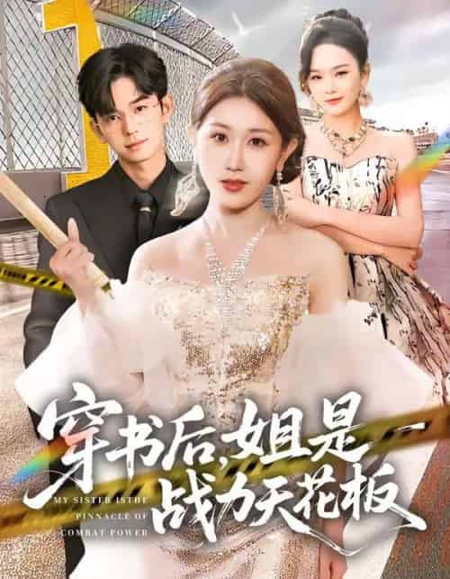 穿书后,姐是战力天花板(63集全)赵美琦&徐佳伟-紫橙网创项目网