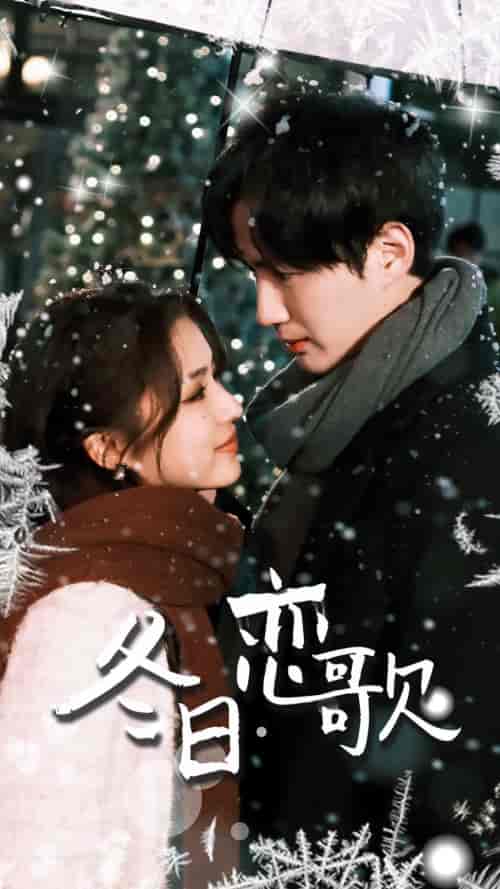 冬日恋歌（90集）-紫橙网创项目网