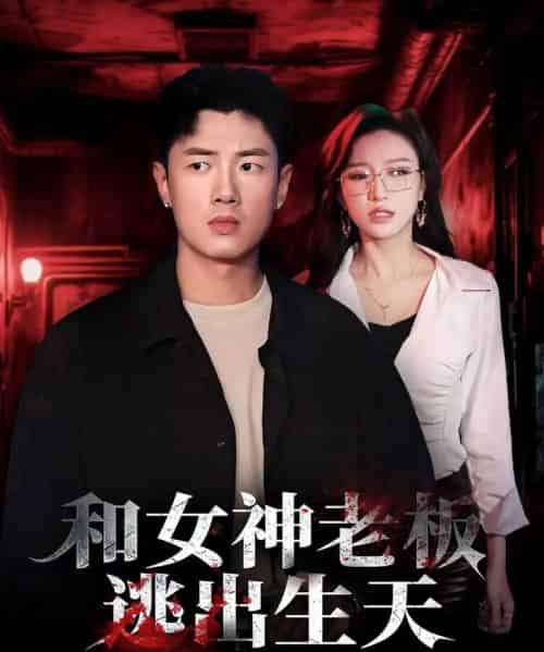 和女神老板逃出生天（50集全）蔡东昊＆魏琳儒-紫橙网创项目网