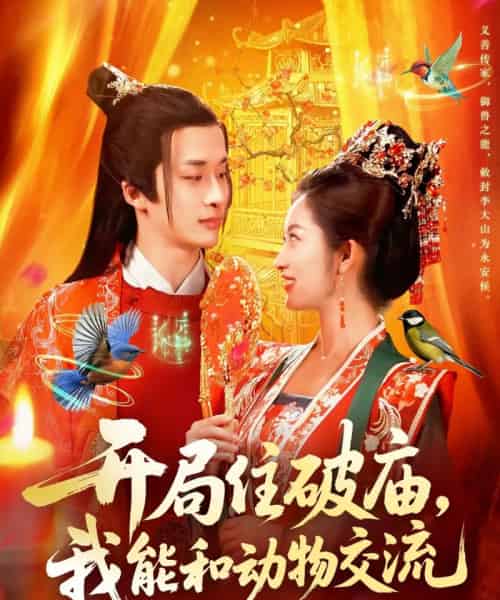 开局住破庙，我能和动物交流（95集全）王泊渊＆崔馨心-紫橙网创项目网