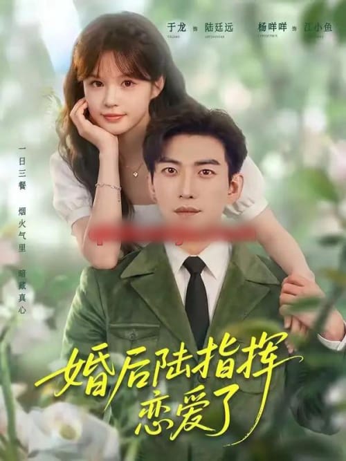 婚后陆指挥沦陷了(89集全)于龙&杨伊路-紫橙网创项目网