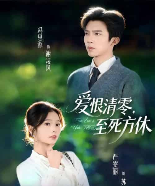 爱恨清零,至死方休&风雪长眠旧故里(51集全)冯思源&严雯丽(夫妻档)-紫橙网创项目网
