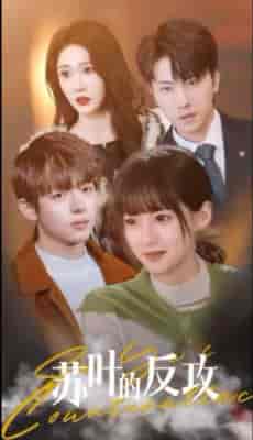 苏叶的反攻（97集） - 紫橙阁短剧