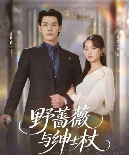 野蔷薇与绅士杖（78集全）张凤鑫＆马紫璇 - 紫橙阁短剧