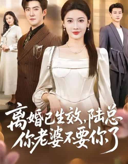 离婚已生效,陆总你老婆不要你了(61集全)赵阿东&沈玥妡-紫橙网创项目网
