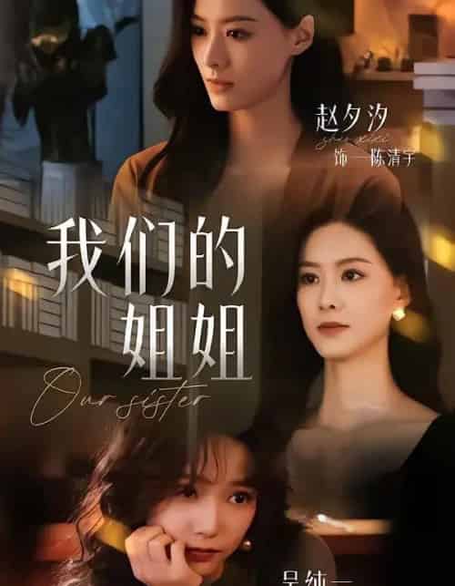 我们的姐姐(65集全)赵夕汐&吴纯一-紫橙网创项目网