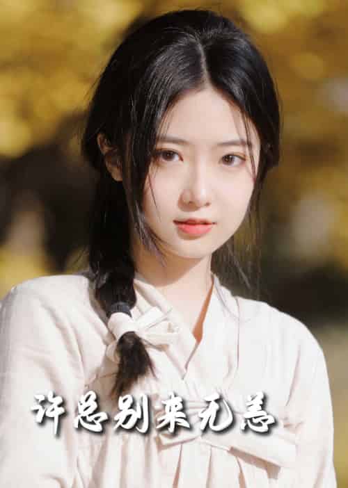 许总别来无恙（50集全）邢航铭 - 紫橙阁短剧