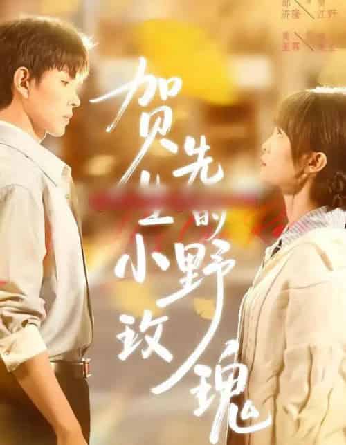 贺先生的小野玫瑰（99集全）黄玺霖＆邹济隆-紫橙网创项目网