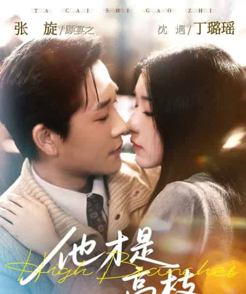 他才是高枝（77集全）张旋＆丁璐瑶-紫橙网创项目网