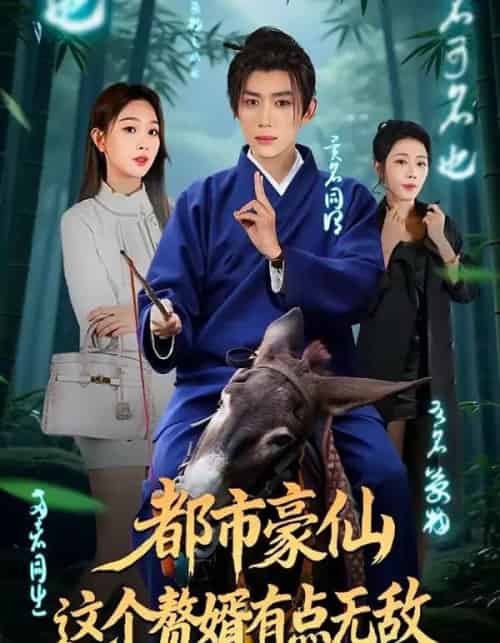 都市豪仙，这个赘婿有点无敌（84集全）刘檀嘉＆彭千玲-紫橙网创项目网