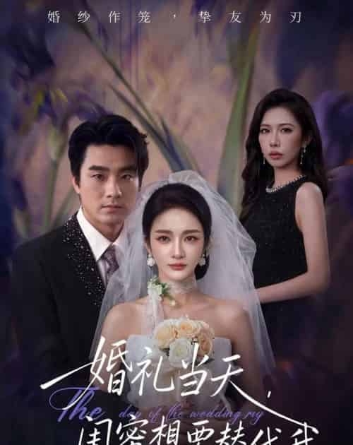 婚礼当天,闺蜜想要替代我(66集全)王小橙&穆豪-紫橙网创项目网