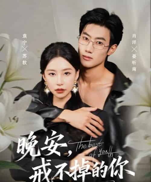 晚安,戒不掉的你(68集全)袁宁&肖洋-紫橙网创项目网