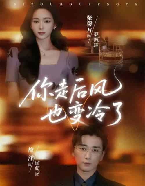 你走后风也变冷了&雨烬闻洲悔(73集全)张馨月&梅洋-紫橙网创项目网