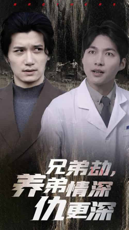 兄弟劫养弟情深仇更深 兄弟劫养弟情深仇更深