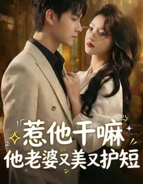 惹他干嘛他老婆又美又护短（30集全）罗潜宇＆郭菁妮-紫橙网创项目网