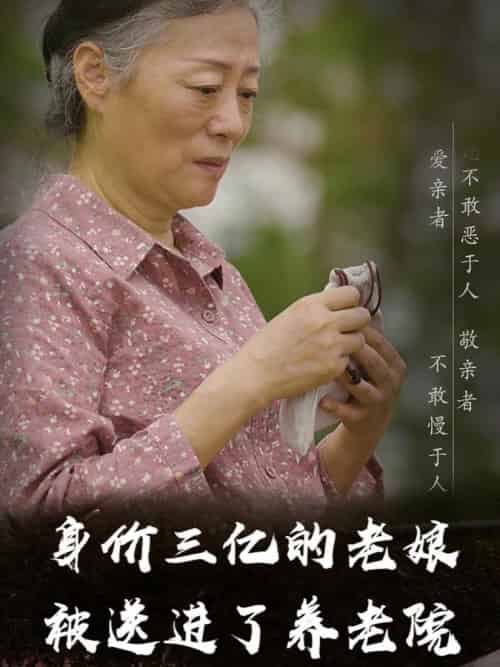 身价三亿的老娘被送进了养老院（30集全） - 紫橙阁短剧
