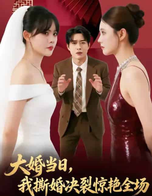 大婚当日，我撕婚决裂惊艳全场（69集全）温叙＆胡逸航-紫橙网创项目网