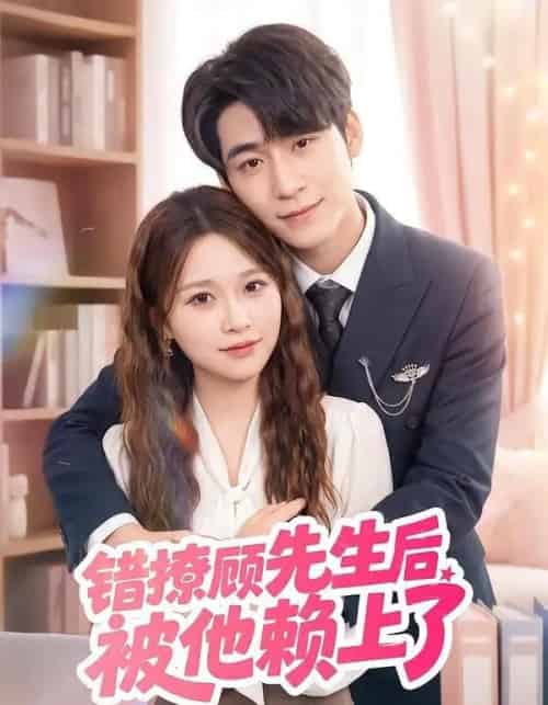 错撩顾先生后被他赖上了(54集全)吴恋融&司俊楠-紫橙网创项目网
