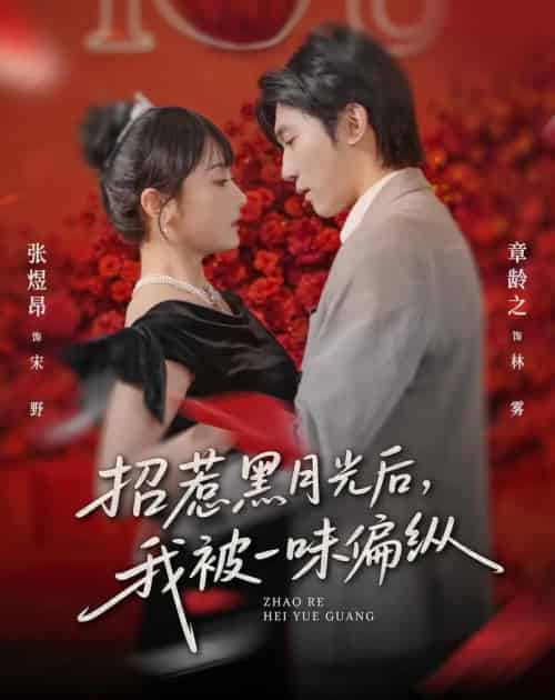 招惹黑月光后,我被一味偏纵(80集全)张煜昂&章龄之-紫橙网创项目网