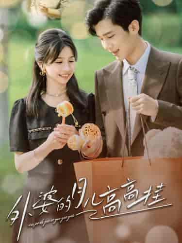 外婆的月儿高高挂（64集）-紫橙网创项目网