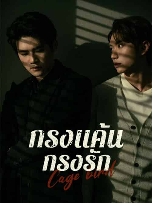 กรงแค้น กรงรัก（45集全）＆ปราณันต์＆ศิรวัชร＆＆＆ธัชกร＆วิสุทธิ์ไพศาล - 紫橙海外短剧