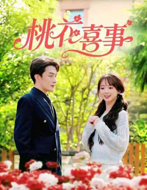 桃花喜事（63集全）叶庭＆蔡淼燕-紫橙网创项目网