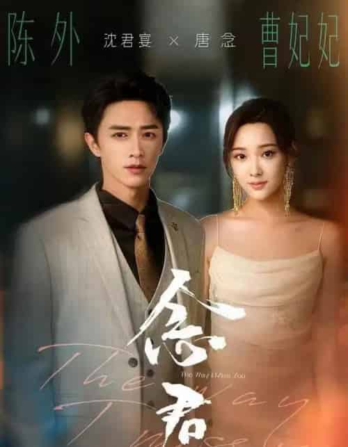 念君（60集全）曹妃妃＆陈外＆陈禹铭-紫橙网创项目网