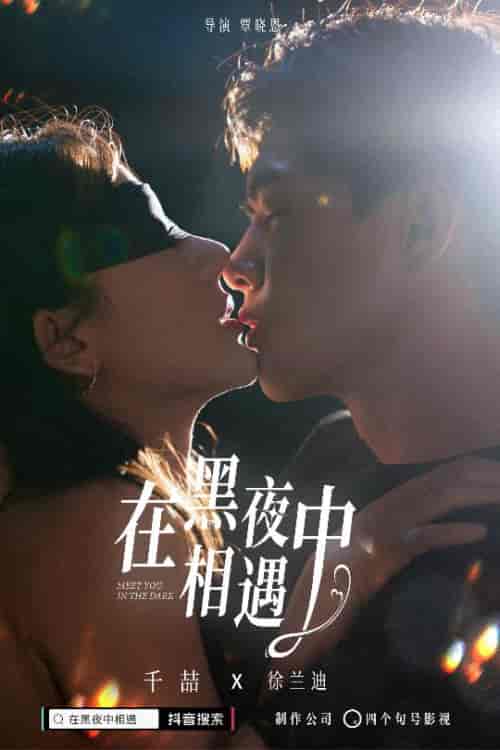 在黑夜中相遇（32集） - 紫橙阁短剧