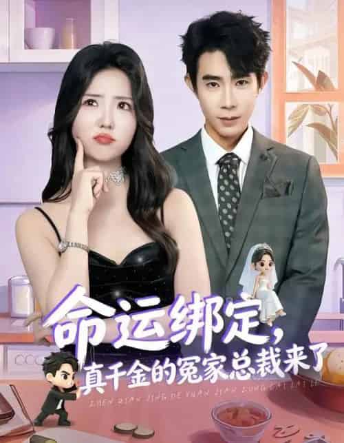 命运绑定，真千金的冤家总裁来了（80集全）郭士博＆李海蒂-紫橙网创项目网