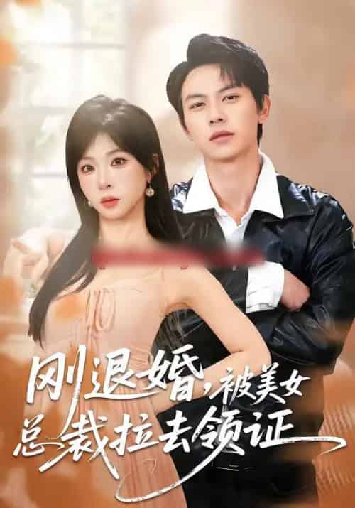 刚退婚，被美女总裁拉去领证（81集全）胡耀＆李沐汐 - 紫橙阁短剧