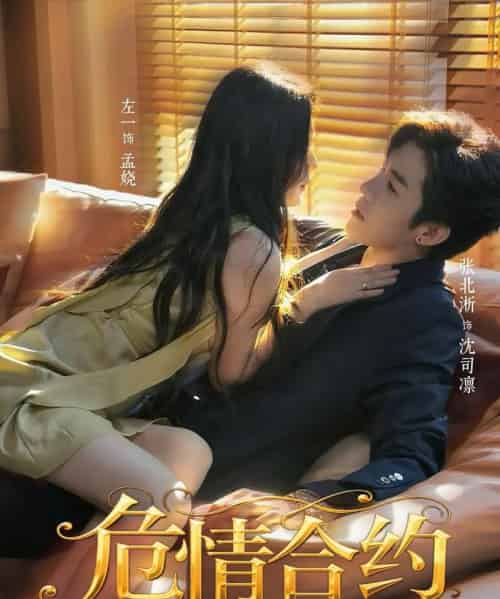 危情合约(76集全)张北淅&左一-紫橙网创项目网