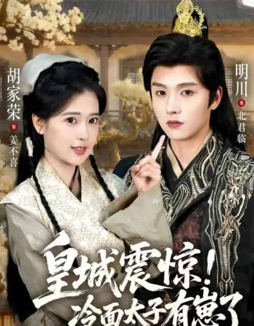 皇城震惊！冷面太子有崽了（105集全）明川＆胡家荣-紫橙网创项目网