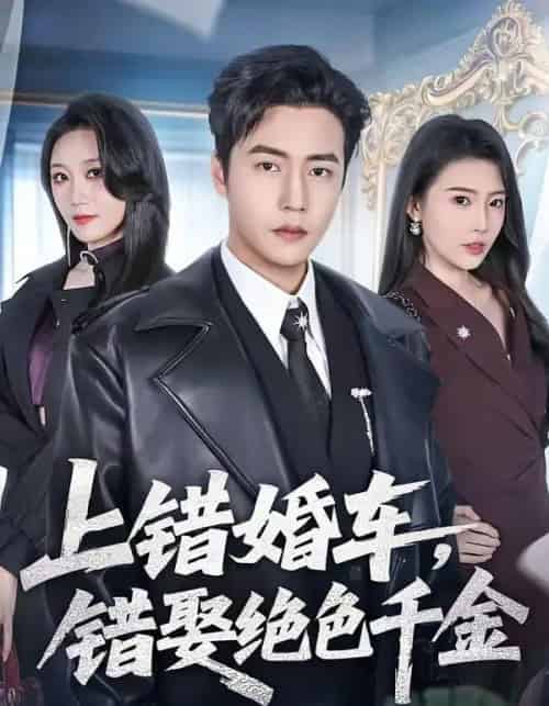 上错婚车,错娶绝色千金(80集全)申芳赫&孙雪阳-紫橙网创项目网