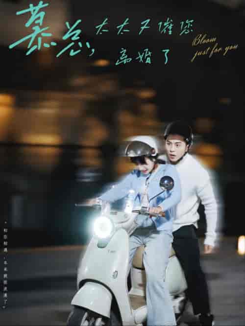慕总太太又催您离婚了（80集全）李可乐＆象韵洁 - 紫橙阁短剧