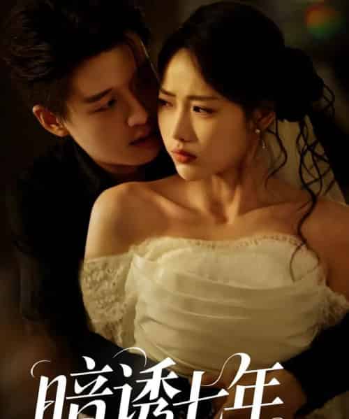 暗诱七年（85集） - 紫橙阁短剧