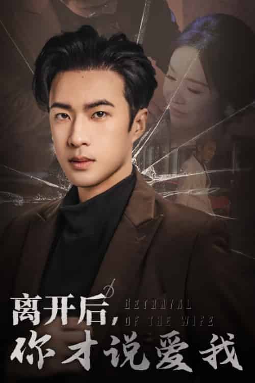 离开后你才说爱我＆心如枯木难逢春（30集）孔奇力 - 紫橙阁短剧
