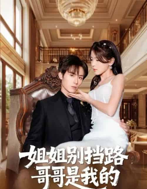 姐姐别挡路，哥哥是我的（80集全）徐步超＆张许焓-紫橙网创项目网