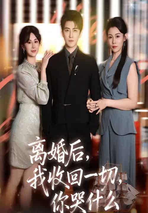 离婚后我收回一切你哭什么(62集全)李岩松&孙遥-紫橙网创项目网