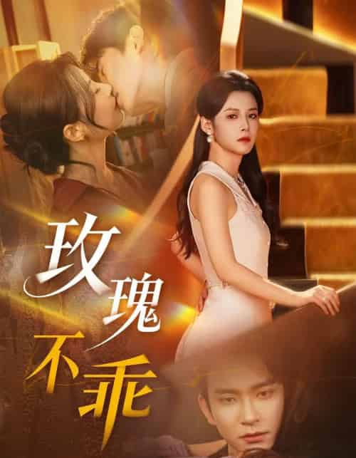 玫瑰不乖（69集全）王已歌＆谭雯文-紫橙网创项目网