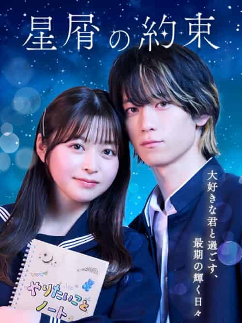 星屑の約束（41集全） - 紫橙海外短剧