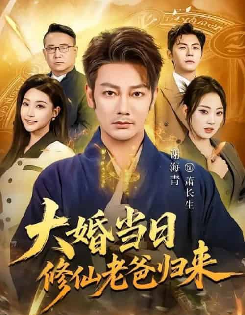 大婚当日修仙老爸归来(82集全)谢海青&瑞子-紫橙网创项目网
