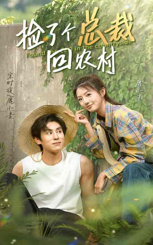捡了个总裁回农村（32集） - 紫橙阁短剧
